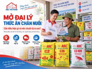 abc_mo_dai_ly_